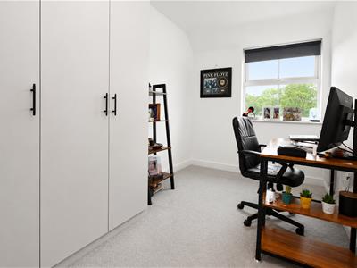 Picture 8